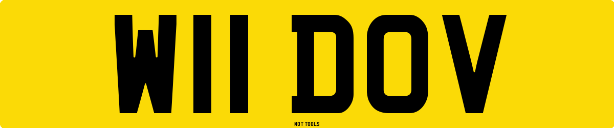 W11DOV MOT Check