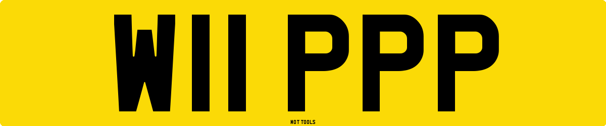 W11PPP MOT Check