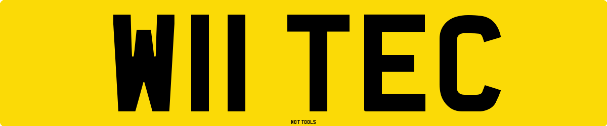 W11TEC MOT Check