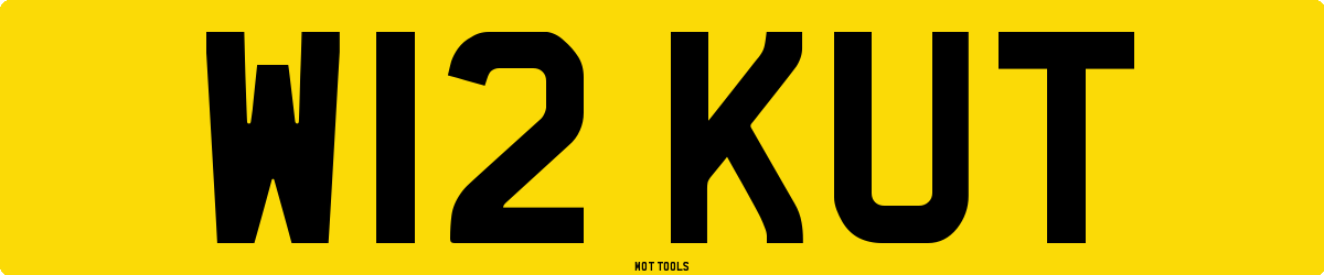 W12KUT MOT Check