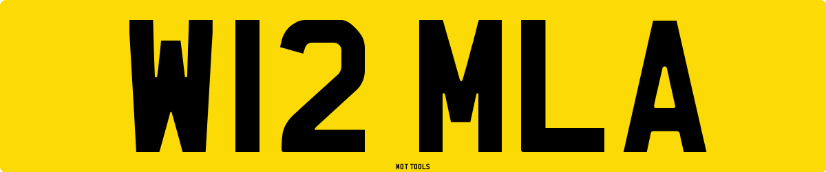 W12MLA MOT Check