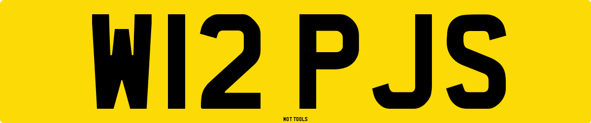 W12PJS MOT Check