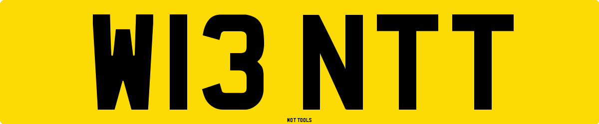 W13NTT MOT Check