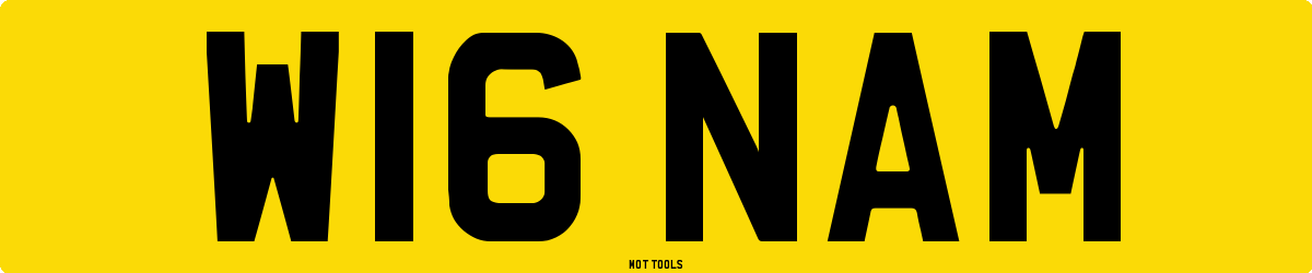 W16NAM MOT Check