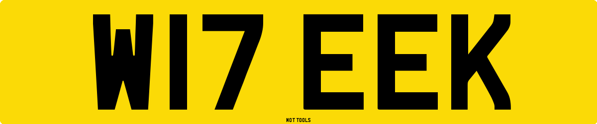 W17EEK MOT Check