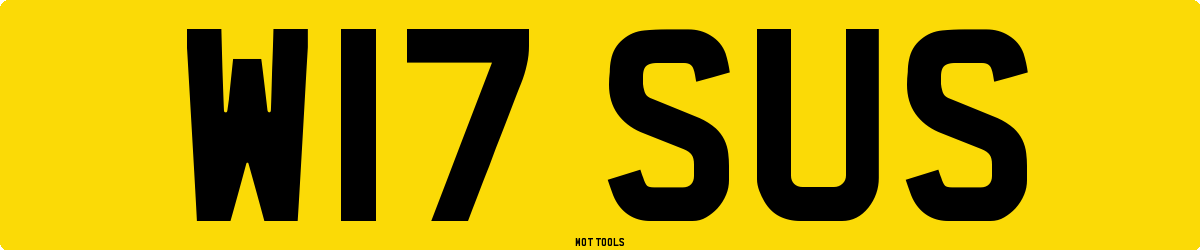 W17SUS MOT Check