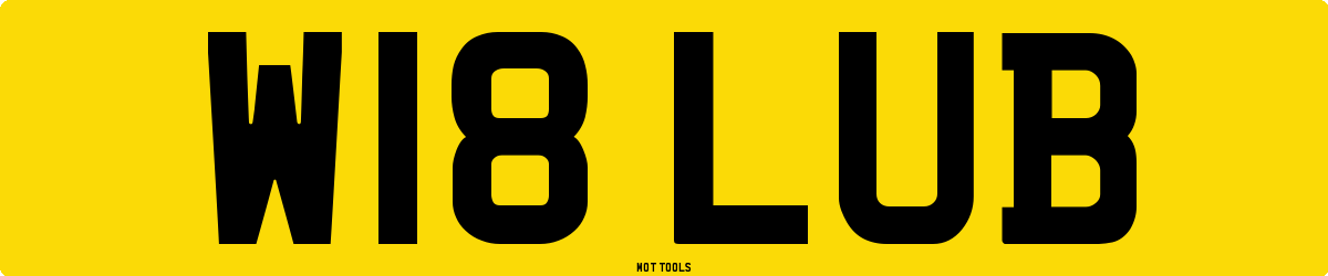 W18LUB MOT Check
