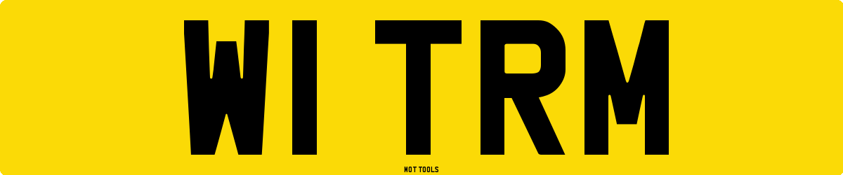 W1TRM MOT Check