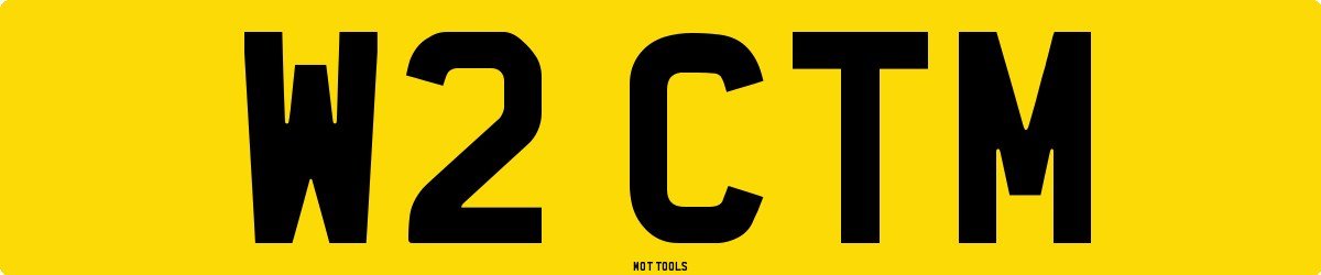 W2CTM MOT Check