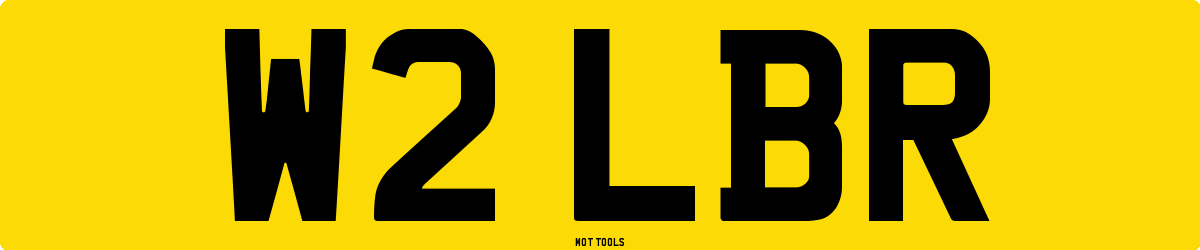 W2LBR MOT Check
