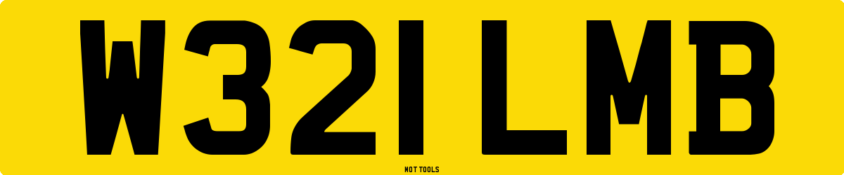 W321LMB MOT Check
