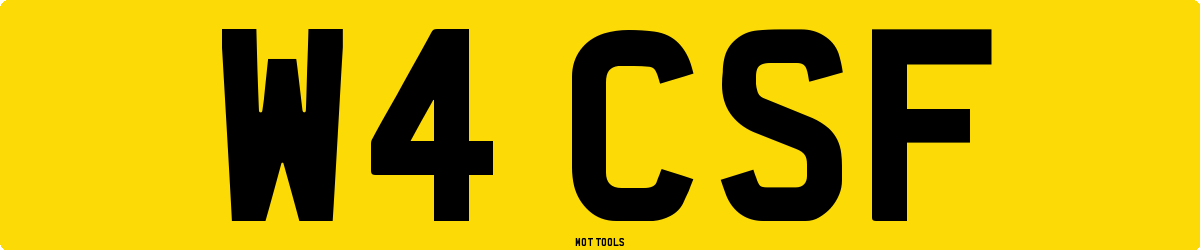 W4CSF MOT Check