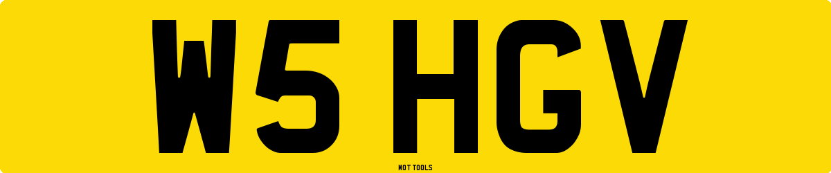 W5HGV MOT Check