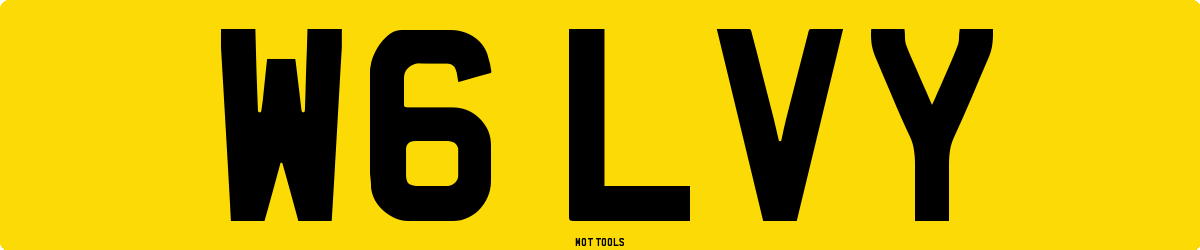 W6LVY MOT Check