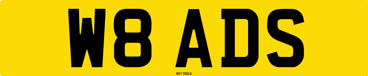 W8ADS MOT Check