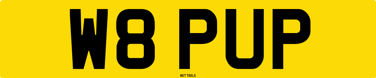W8PUP MOT Check