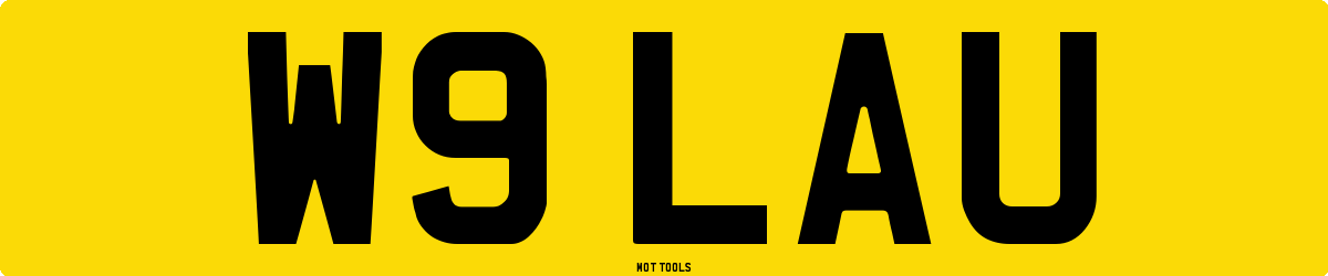 W9LAU MOT Check