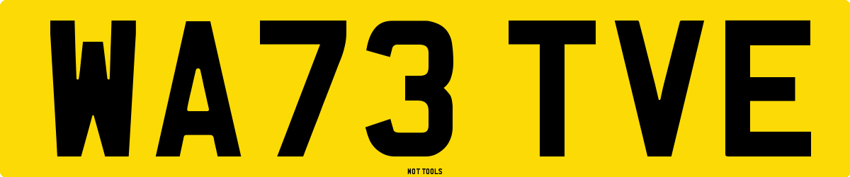 WA73TVE MOT Check