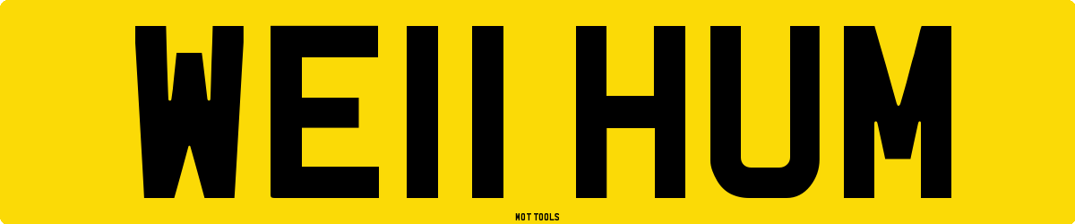 WE11HUM MOT Check