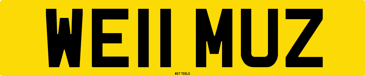 WE11MUZ MOT Check
