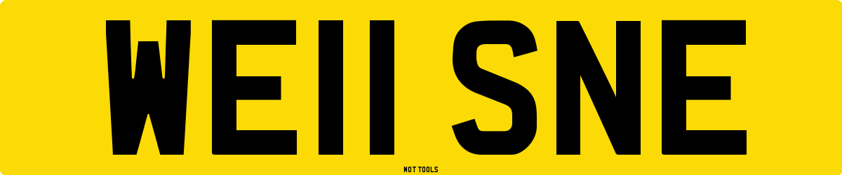 WE11SNE MOT Check