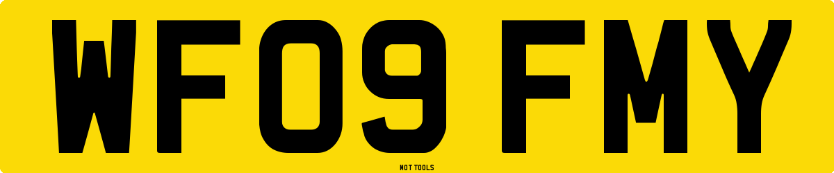 WF09FMY MOT Check