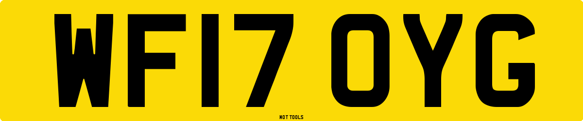 WF17OYG MOT Check
