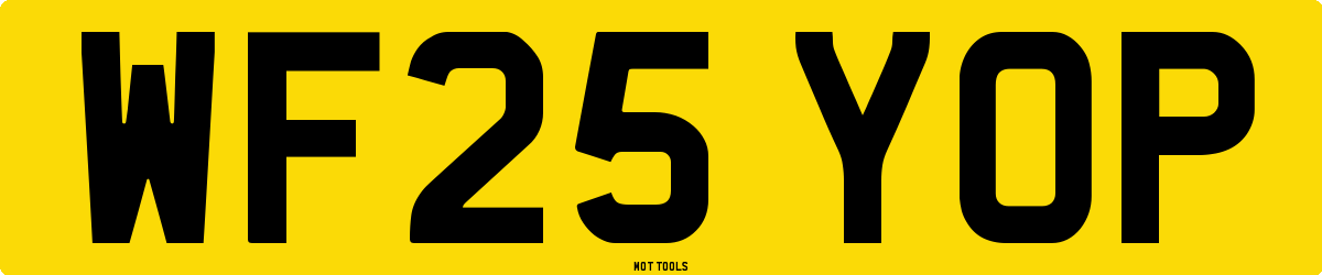 WF25YOP MOT Check