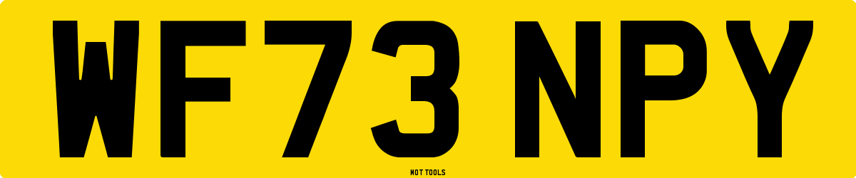 WF73NPY MOT Check