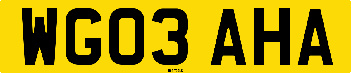 WG03AHA MOT Check