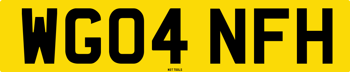 WG04NFH MOT Check