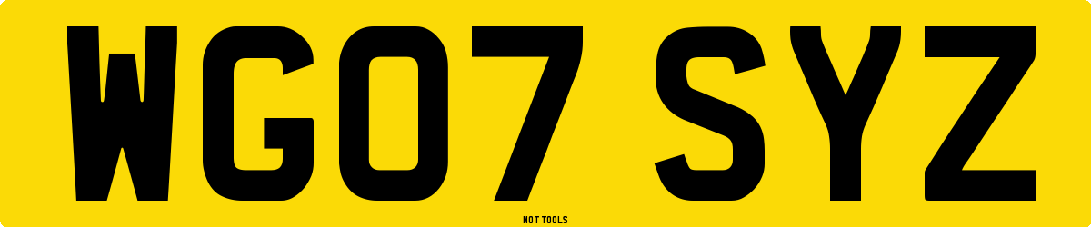 WG07SYZ MOT Check