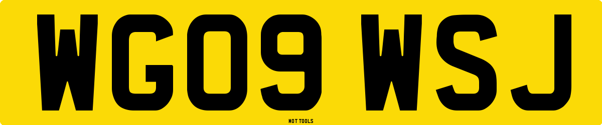 WG09WSJ MOT Check