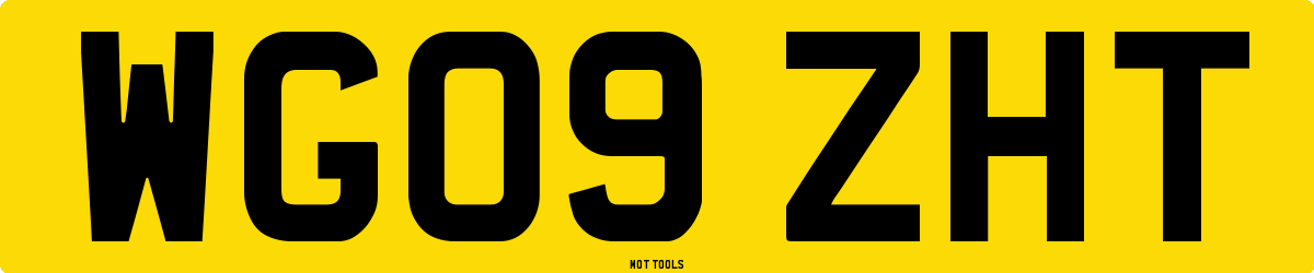 WG09ZHT MOT Check