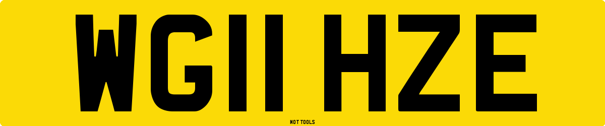 WG11HZE MOT Check