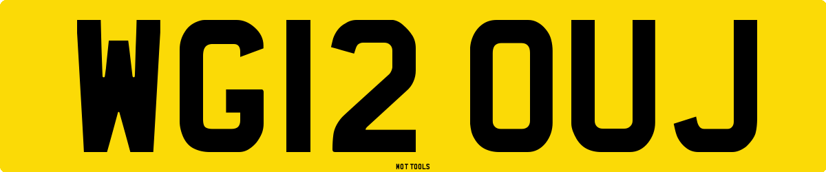 WG12OUJ MOT Check