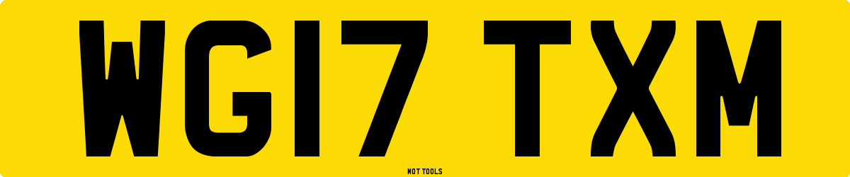 WG17TXM MOT Check