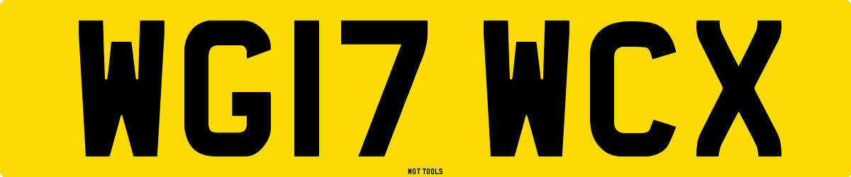 WG17WCX MOT Check