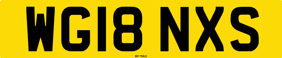 WG18NXS MOT Check