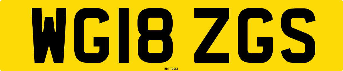 WG18ZGS MOT Check