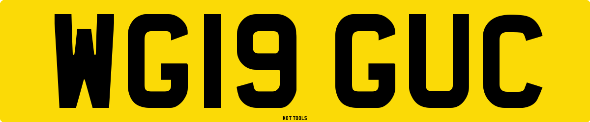 WG19GUC MOT Check