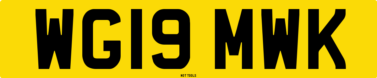 WG19MWK MOT Check