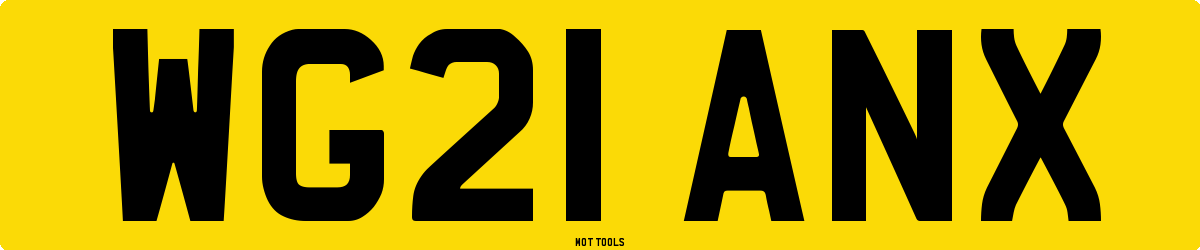 WG21ANX MOT Check
