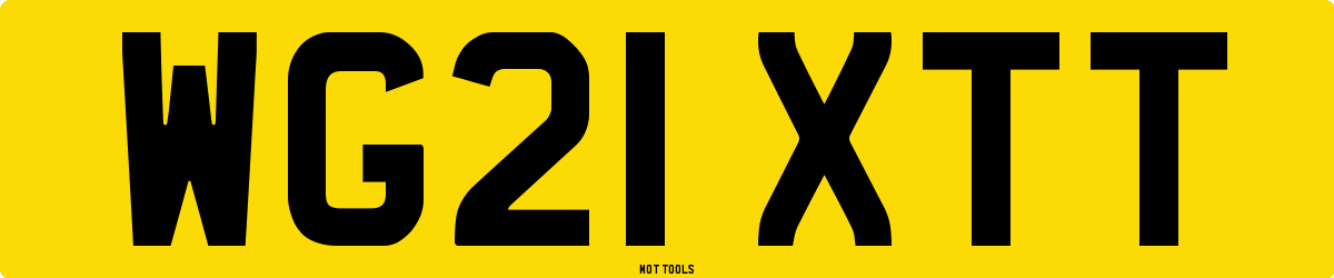 WG21XTT MOT Check