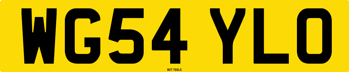 WG54YLO MOT Check