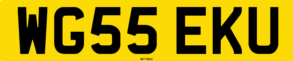 WG55EKU MOT Check