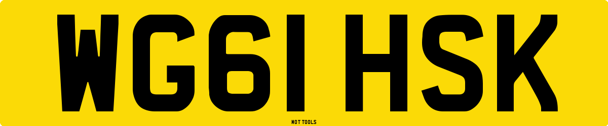WG61HSK MOT Check