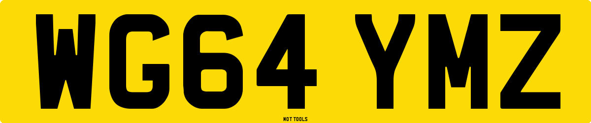 WG64YMZ MOT Check