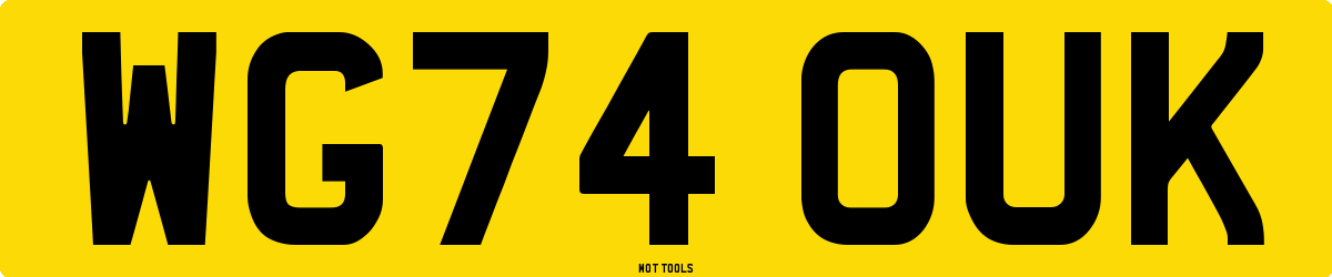 WG74OUK MOT Check