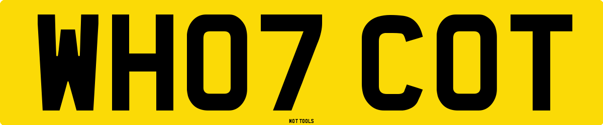 WH07COT MOT Check